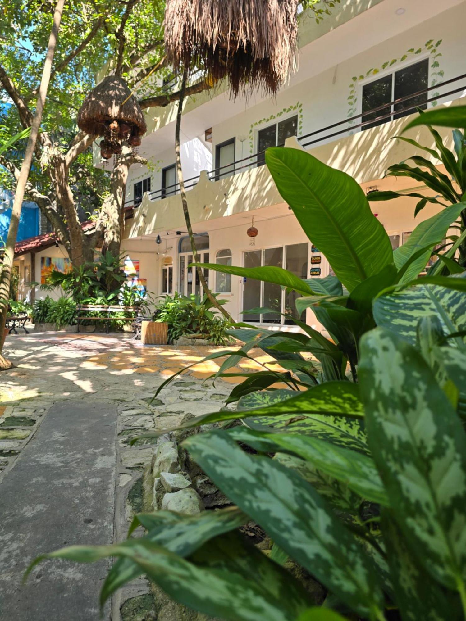 Hotel Ha Garden Gallery - 5Th Avenue Playa del Carmen Exterior photo