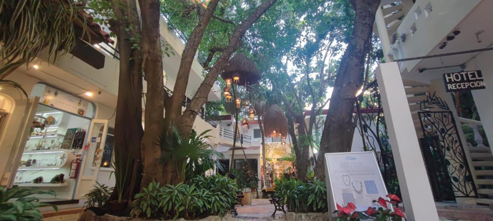Hotel Ha Garden Gallery - 5Th Avenue Playa del Carmen Exterior photo
